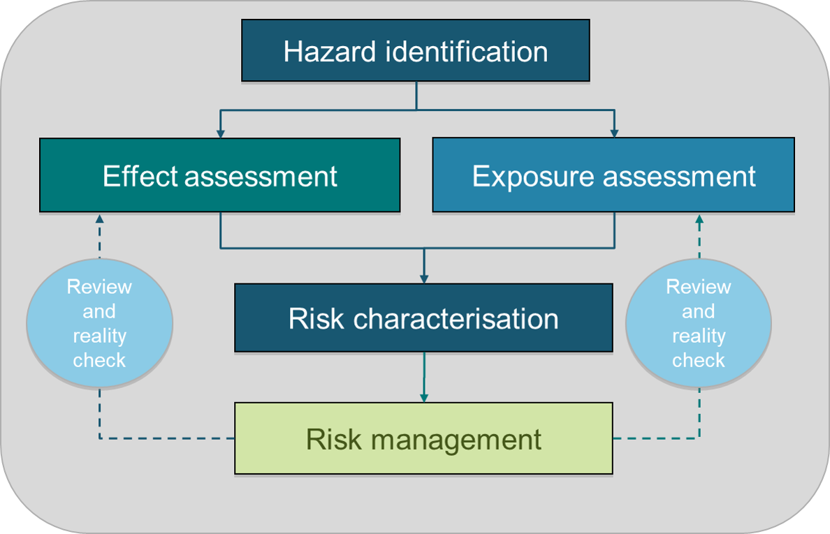 Risk assessment of chemicals Risk assessment of chemicals